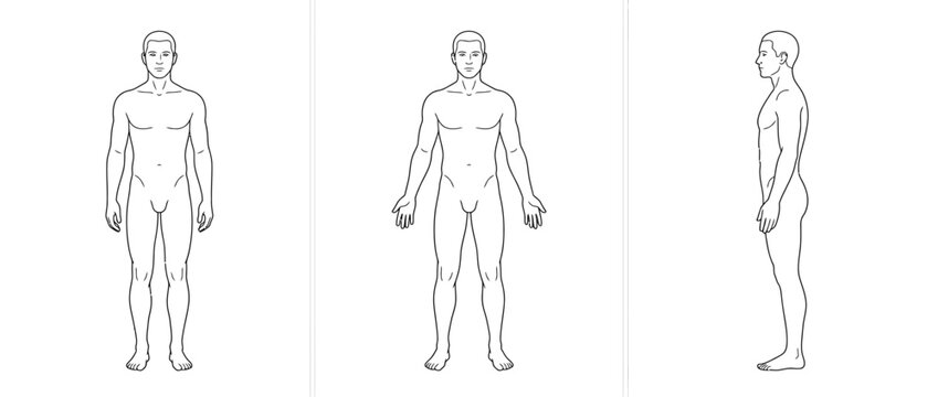 Male human body template front and side view outline drawing on white background