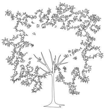 linear illustration features a tree with an interesting structure where the outer branches create a large, open circular canopy, leaving the central interior with fewer leaves. The sketch highlights t
