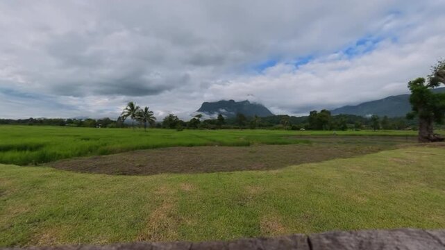 Timelapse of green rice fields and rural farmland with dramatic mountains, palm trees and moving clouds, capturing peaceful tropical countryside scenery.