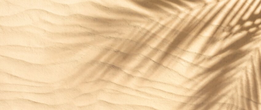 Summer beach sand background with palm leaf shadow for tropical