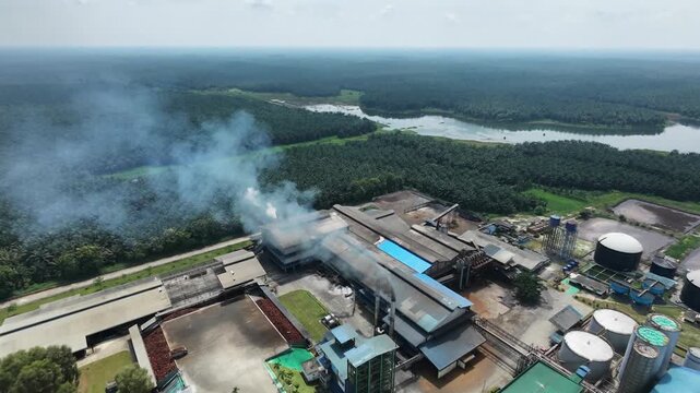 a crude palm oil extraction plant with distinct blue roofs set amidst a massive estate plantation. Industrial agriculture, manufacturing, and business background.