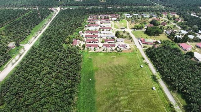 aerial perspective of a palm oil plantation employee dormitory settlement surrounded by endless green trees. Rural community development, estate living, and agricultural economy.