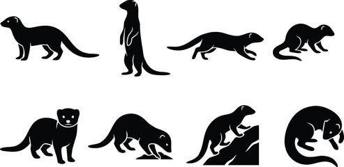 Obraz premium Mongoose set black silhouette icons showing standing running and alert poses