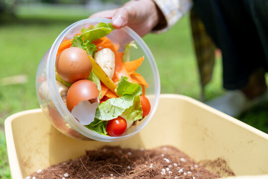 Asian woman hands pouring organic food waste into composting bin with soil. Food waste recycling, zero waste lifestyle, organic fertilizer, and sustainability concept.
