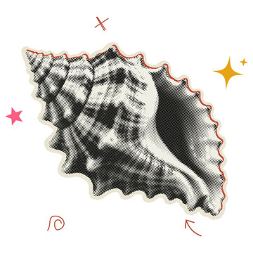 Halftone orange banded conch shell with decorative stars and symbols, isolated on a transparent background