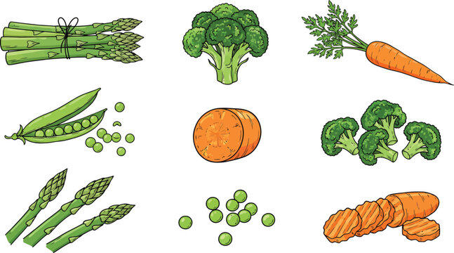 Fresh garden vegetables vector illustration sticker set with broccoli carrot and asparagus