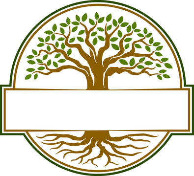 Tree and Roots Symbol with Blank Banner for Nature and Growth