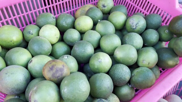 Organic raw key limes at traditional local market grocery