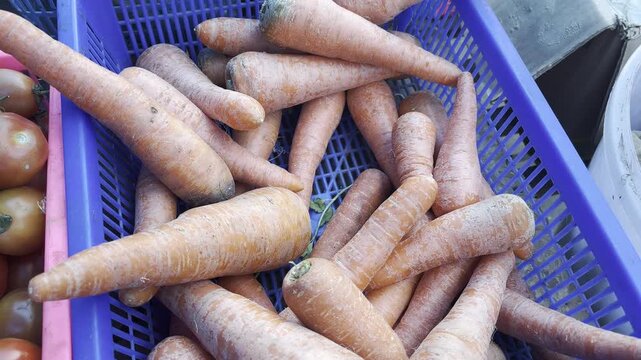 Fresh orange carrots in blue plastic basket close up