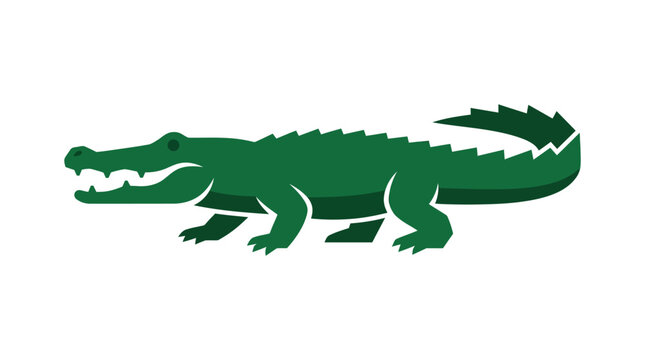 crocodile vector