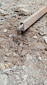 Cut Piece of Iron Bar Resting on Soil Dirt Ground