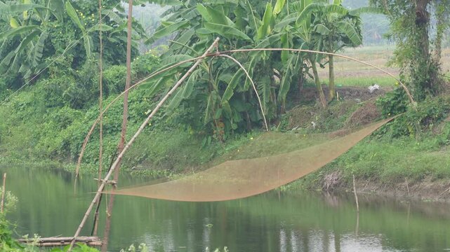 Traditional lift net fishing with bamboo poles