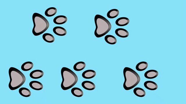 Animaton of animal paw prints appearing one by one walking across a blue background