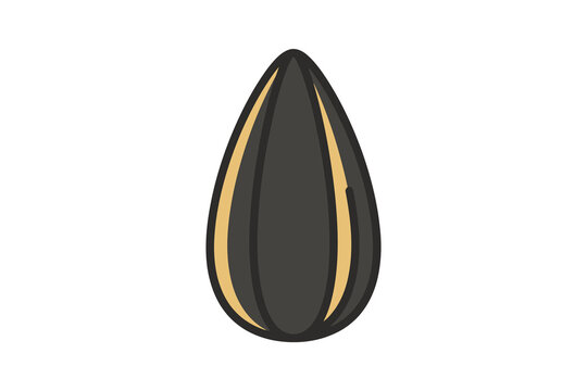 Sunflower Seed Vector Illustration