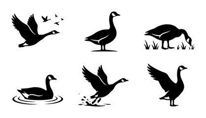 Fototapeta premium Goose silhouettes set with birds flying, standing and swimming for wildlife design