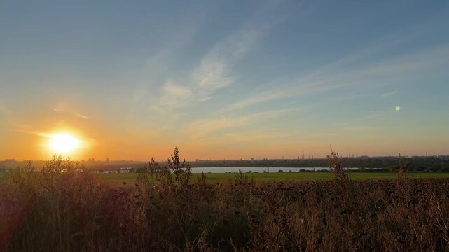 Scenic sunset landscape with bright sun shining over dry desiccation sunflower field and distant river with city skyline on horizon during warm evening hour outdoors. Beautiful nature view horizon.
