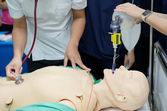 Auscultation of breath sounds and assisted ventilation following endotracheal intubation in an advanced life support simulation. 