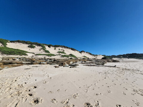 Footprints scatter across the pale sand of Pebbly Beach, with exposed rock ledges and vegetation-covered dunes beneath a deep blue sky, Central Coast, New South Wales, Australia.