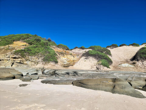 Vegetation-covered sand dunes rise above exposed rock ledges and pale sand at Pebbly Beach beneath a clear blue sky, Central Coast, New South Wales, Australia.