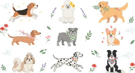 Fototapeta premium Cute Dog Breed Vector Icon Set with Floral Elements Golden Retriever Corgi Dalmatian and Beagle for Spring Graphic Designs
