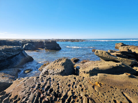 Pitted rock surfaces and sculpted coastal formations exposed at low tide at Soldiers Point, with blue ocean waters and a clear sky on the Central Coast of New South Wales, Australia.