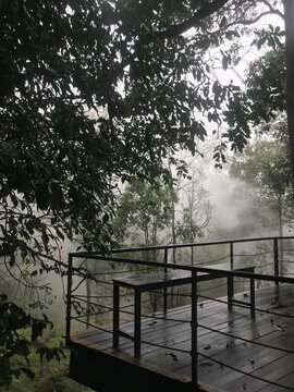morning on the lake , misty morning view from wooden deck in Samarang garut Indonesia