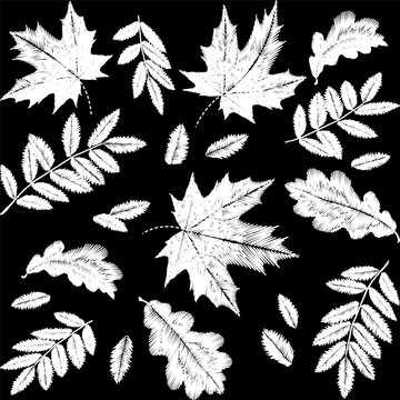 Hand-drawn white autumn leaves seamless pattern. Maple, oak, rowan foliage. Fashion clothing patches stickers print. Black background sketchy vector art.