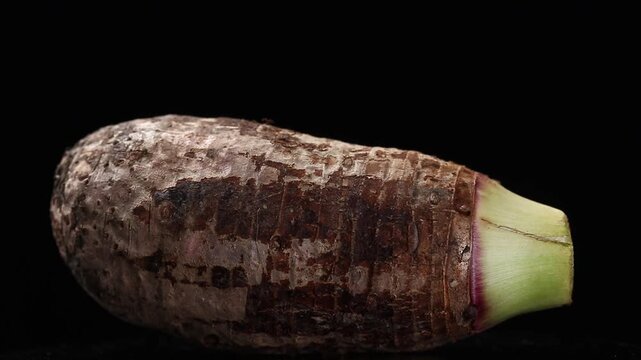 A whole raw taro root slowly rotating against a black background.