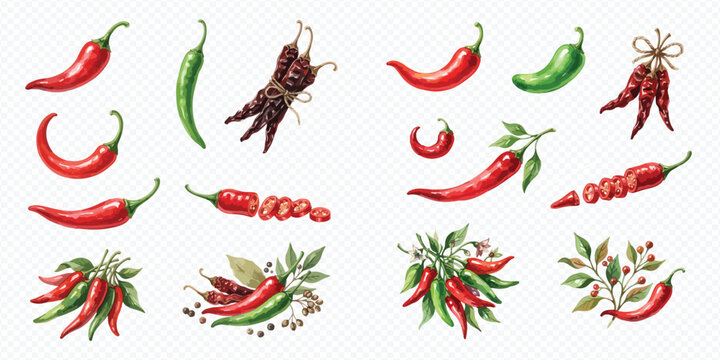 Collection of various red and green chili peppers, whole, sliced, and dried, with leaves and peppercorns.
