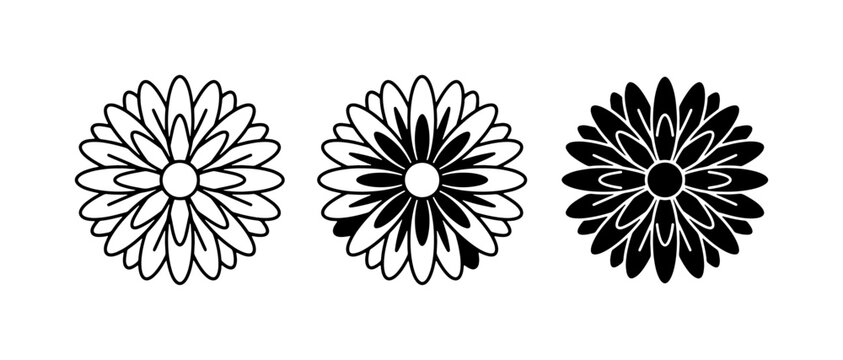 Aster flower icon glyph and solid for logo