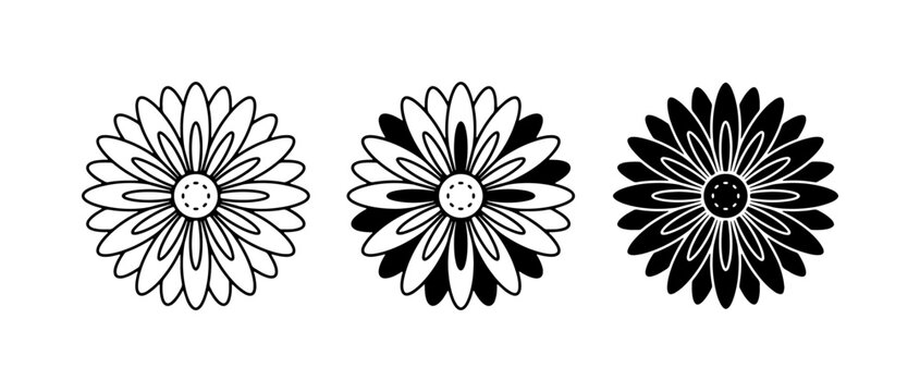 Aster flower icon glyph for logo