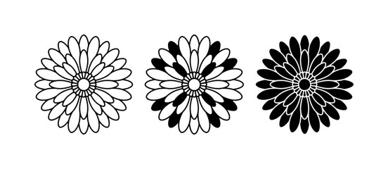 Obraz premium Chrysanthemum flower icon glyph and solid for logo