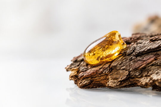 Golden copal resin drop on tree bark against white surface.