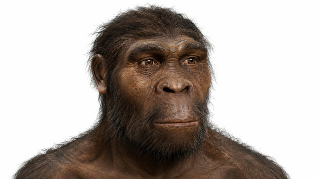 Ancient hominid face with deep set eyes and coarse dark hair, primitive human ancestor with rugged features on white background