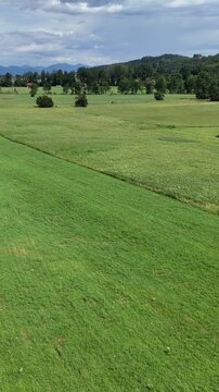 Picturesque summer landscape with green meadows and mountains on the horizon. Expanse of fresh bright green grass under a changing cloudy sky, ecology, agriculture, tourism, country vacation