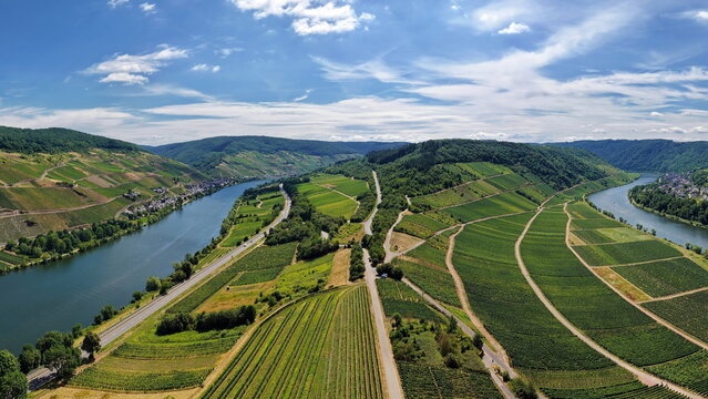 Beeindruckende Luftaufnahme der weiten Moselschleife am Zeller Hamm bei sommerlichem Wetter, gepr&auml;gt von saftig gr&uuml;nen Weinh&auml;ngen und dem gewundenen Flusslauf der Mosel.