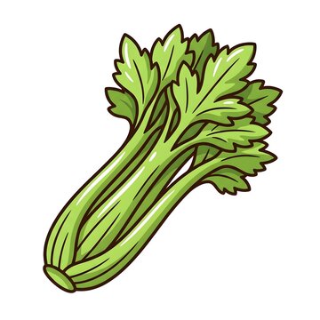 Fresh Green Celery Stalk With Leaves Isolated On A Plain Background In Vector Illustration Style