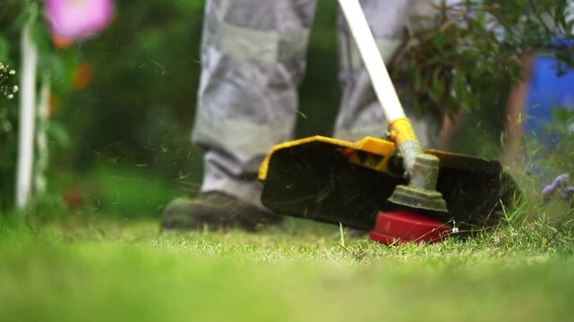 Person cuts grass with handheld trimmer. Green blades slice through foliage, sending particles flying. Dirt and grass spray around the trimmer's base. Grass and flowers lie beneath the trimmer's path
