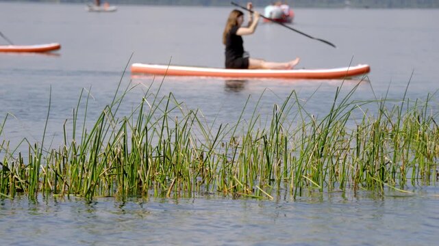 Woman paddles calm lake in orange kayak. Tall reeds fringe water's edge. Background shows distant paddlers on calm water. Peaceful scene evokes summer leisure. Ideal for nature, outdoor, wellness