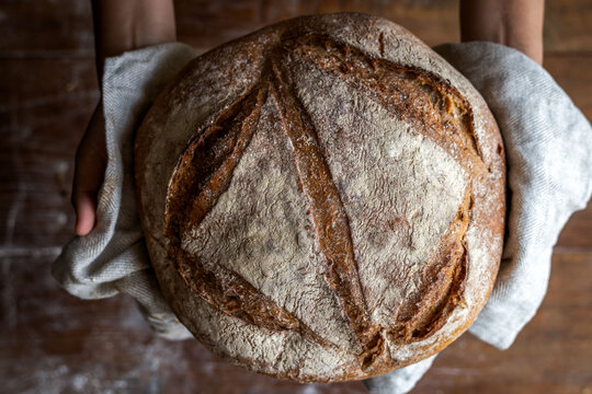 Artisan rustic sourdough bread held in hands, fresh baked loaf