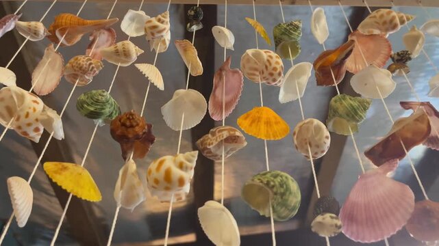 Various colorful seashell mobile hanging