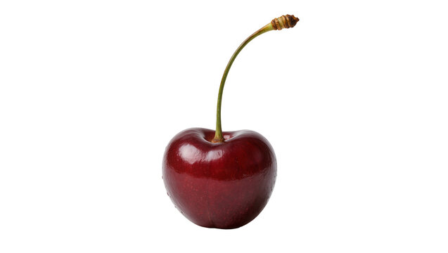 Single ripe dark red cherry with stem, isolated on transparent background