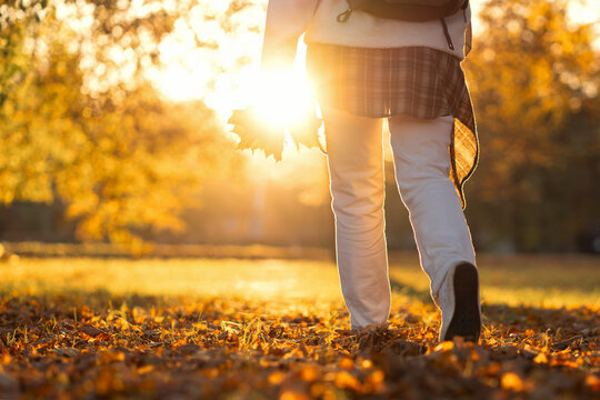 Woman walking through autumn park in golden sunlight, rear view with copy space for text