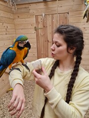 Vertical medium shot of a young Caucasian woman with braided hair holding a small plastic cup and feeding a colorful blue and yellow macaw parrot inside a wooden zoo aviary © Tina