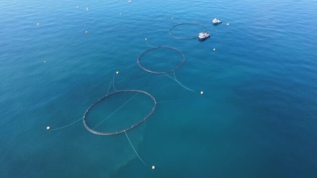 Footage of fish ponds, the main form of aquaculture. Salmon, sea bass, sea bream and trout are the most commonly grown fish in fish ponds used for commercial fishing in the sea, lakes and ponds.