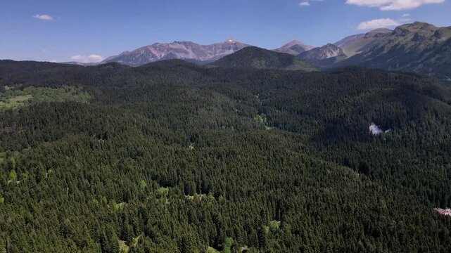 Drone footage of the blacklake located among the pine forests in the province of Artvin.