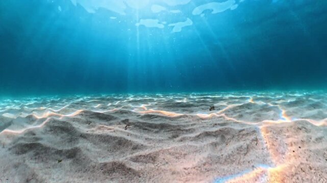 Subsea floor with gentle rippled sand patterns under bright tropical sunlight filtering through turquoise water. Static wide angle shot.