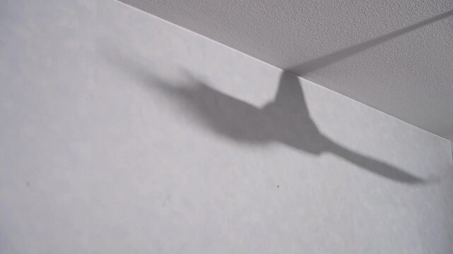Shadow of spinning ceiling fan on wall