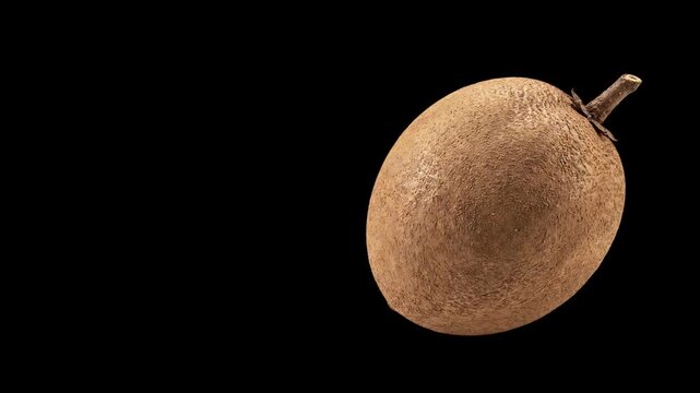 Fresh brown sapodilla fruit rotating on a black background isolated stock video