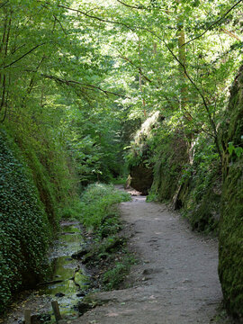 A hiking trail along the stream in the Dragon's Gorge near Eisenach. Moss, ferns, and dense vegetation nestled between steep rock walls create the atmosphere of this shady forest gorge.